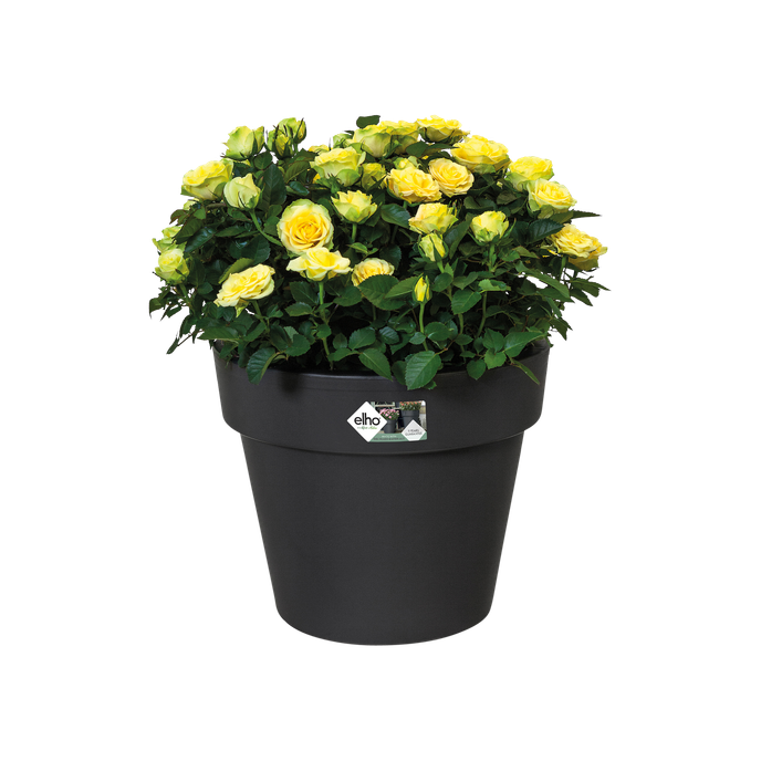 green basics top planter 23cm living noir